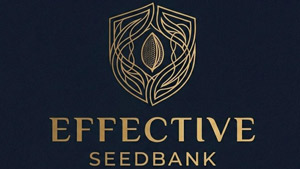 effectiveseedbank